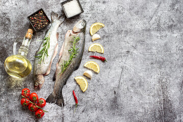 Fototapeta na wymiar raw trout with spices on stone background with copy space for your text