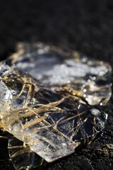 a piece of withered grass trapped in ice