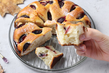 Piece of homemade pie with plums in a woman's hand close-up