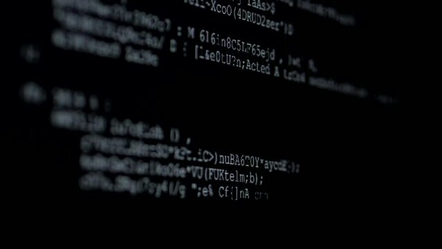 Program Code. Source code on the monitor screen. Web development. Computer programming code scroll.
