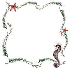 beautiful elegant green algae frame, seahorse and sea stars