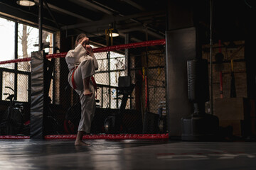 Fototapeta premium A girl practices karate in a gym A woman in kimono practices movements and poses Martial arts