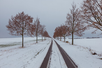 Obraz premium Winter landscape. Trees in winter landscape. Snow on the field. Asphalt road under snow.
