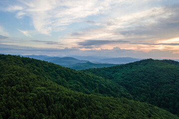 Aerial view of green pine forest with dark spruce trees covering mountain hills. Nothern woodland scenery from above