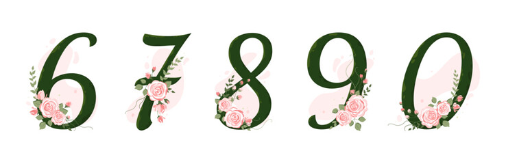 Collection numbers from 6 to 0 decorated with roses, leaves, branches. Baby milestone. For the first year of a baby's life, wedding invitations and birthday cards
