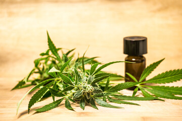 CBD oil Medical cannabis products. Marijuana buds flowers. Hemp herb and leaves for treating,...