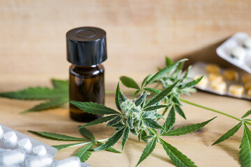Obraz na płótnie Canvas Medical marijuana cannabis with pills and bottle on table. Marijuana buds flowers.
