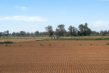 Tractor circulando por un camino agrícola entre tierras de cultivo.