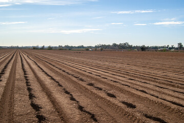Fototapeta na wymiar Campo de cultivo arado con abono natural.