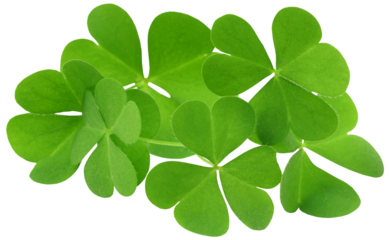 Decorative clover leaves