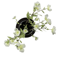 Top view of flower arrangement