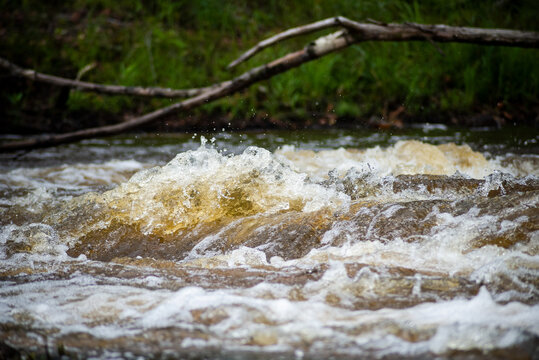 Rio Que Flui Na Floresta.