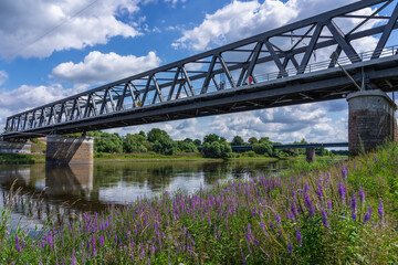 Elbe railway bridge in the background the Elbe bridge federal road B 184 in Dessau Rosslau