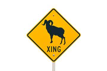 Big Horn Sheep wildlife crossing caution sign with cut out background.