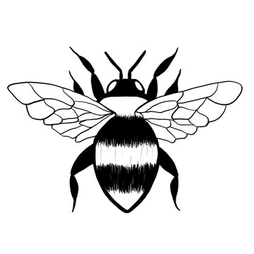 Abelha, ilustra&ccedil;&atilde;o, inseto, minimalista, aesthetic, s&iacute;mbolo, &iacute;cone, natureza, silhueta