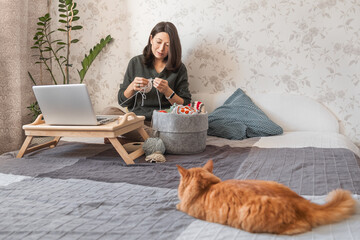 Ginger cat looks how woman is crocheting while watching movie on laptop. Learn to knit from video lessons on Internet. Cozy home and anti stress hobby. - 584467410