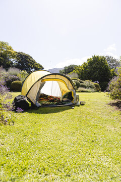 General view od garden with tent, green plants, grass and ble sky