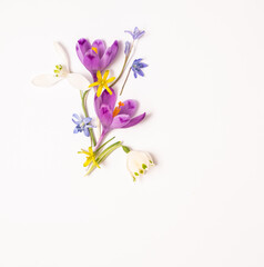  flower layout from spring flowers on a white background. Top view, flat lay and copy space. Square photo