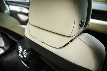 interior trim material for the headrest of the SUV expensive rare leather