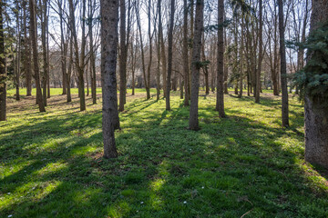 Fototapeta premium Spring view of South Park in city of Sofia, Bulgaria