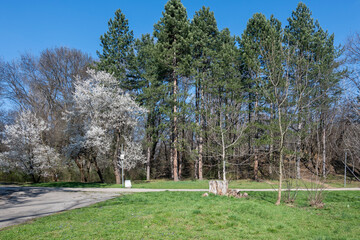 Spring view of South Park in city of Sofia, Bulgaria