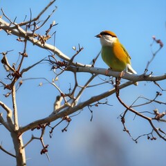 Fototapeta premium bird on a branch generative ai