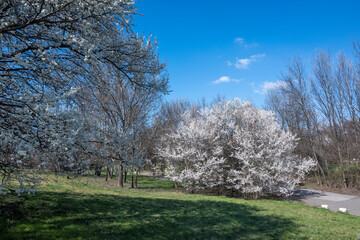 Spring view of South Park in city of Sofia, Bulgaria