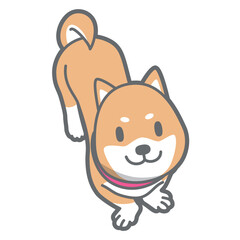見上げる柴犬のベクターイラスト