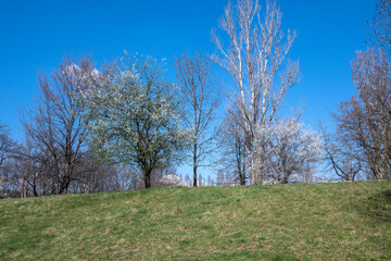 Spring view of South Park in city of Sofia, Bulgaria