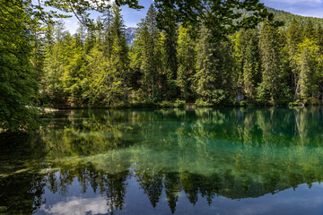 Fototapeta na wymiar Alpine lake in the Italian Dolomites Lagi di Fusine