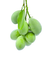 Marian Plum, (Bouea macrophylla Griffith).transparent png