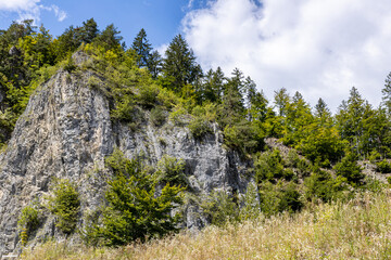 Austrian green Alps and rocks against the blue summer sky