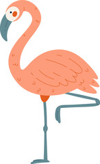 Flamingo Bird Standing on one leg