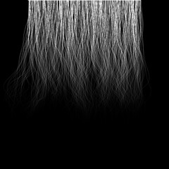 Black and White Hair Texture
