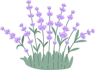 Naklejka na ściany i meble Lavender Flowers Lawn