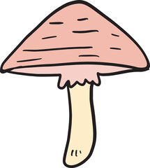 Mushroom drawing image for food or cooking concept
