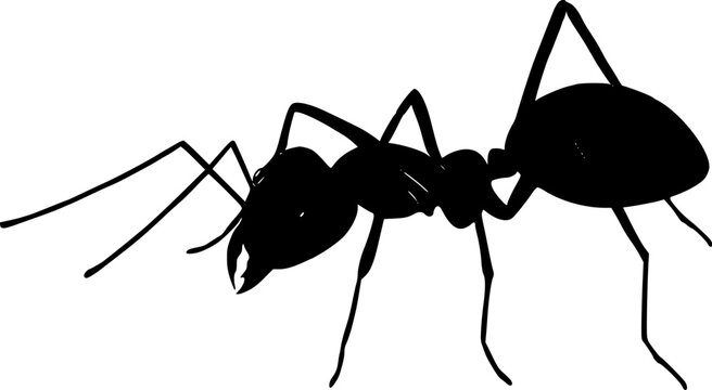 ant silhouette