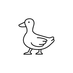 the duck walks forward with style