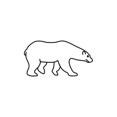 bear walking while looking down