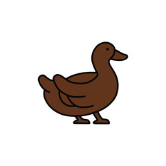 the brown duck walks leisurely and upright