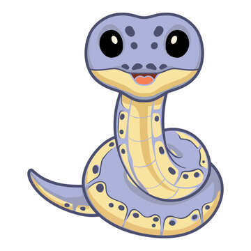 Cute killer clown ball python cartoon