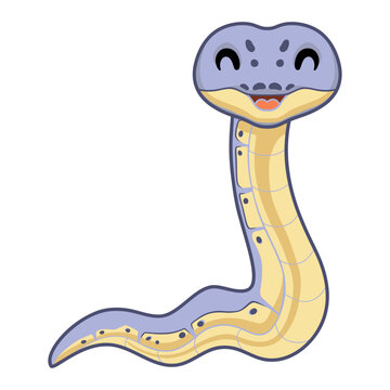 Cute killer clown ball python cartoon