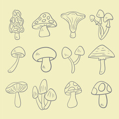 Mushroom drawing image for food or cooking concept