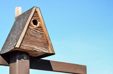 View of wooden bird house against blue sky