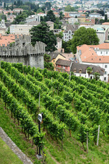 Fototapeta na wymiar The town of Bellinzona seen from the vineyards of Castlegrande.