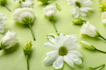 Composition with beautiful eustoma and chamomile flowers on green background, closeup