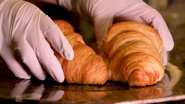hands in sterile white gloves take two croissants from a marble plate delicious breakfast cooking chef cool down croissants after baking serve to table fill with delicious stuffing