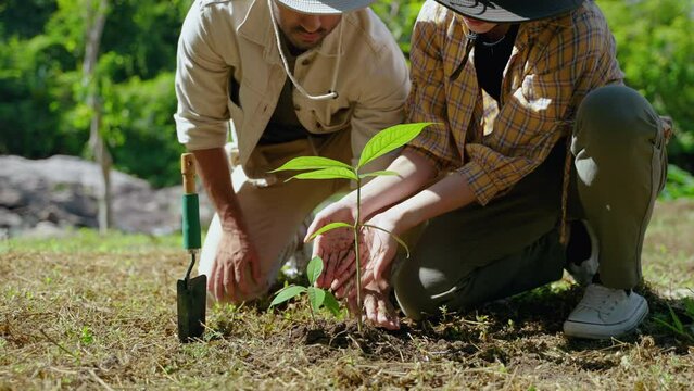 asian couple conservation volunteers are helping reforestation to conserve the environment, environmental conservation concept, carbon footprint, carbon neutrality
