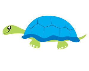 Vector illustration, drawing of green turtle and smiling, cartoon style on white background