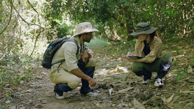 couple biologist on a forest walk collecting data is using binoculars to look into the treetops, conservation concept, green, environment.
